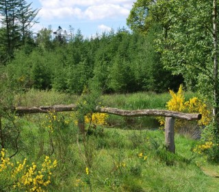 gallery images