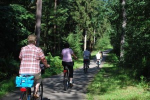 wandelen fietsen drenthe bungalow diever 16