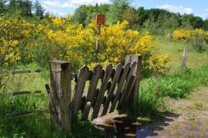 wandelen fietsen drenthe bungalow diever 01